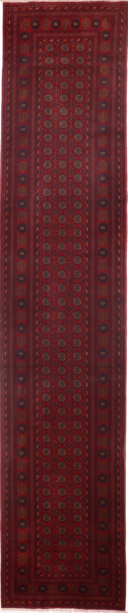 Afghan
